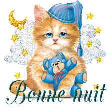 bonne nuit à tous à bientot